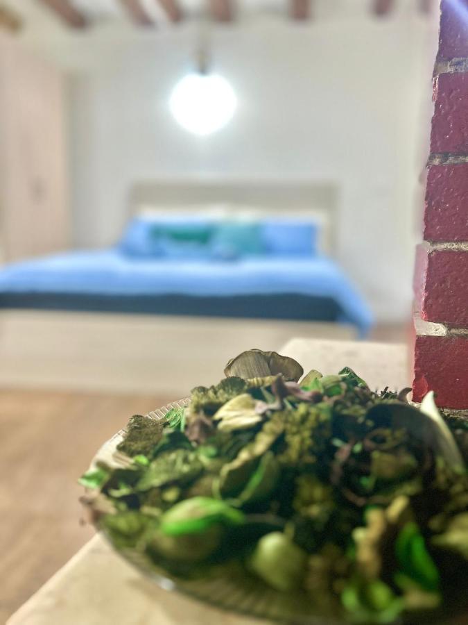 טריאסטה Residence Zar - 2 מראה חיצוני תמונה